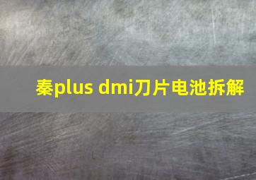 秦plus dmi刀片电池拆解